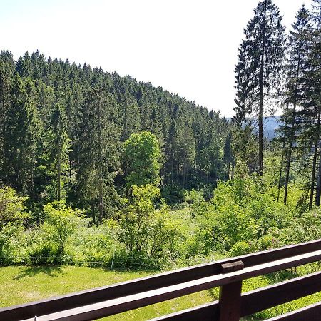 Fewo Waldblick Sankt Andreasberg Esterno foto