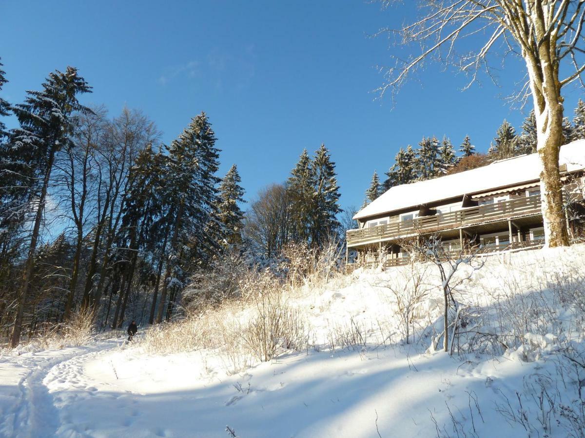 Fewo Waldblick Sankt Andreasberg Esterno foto