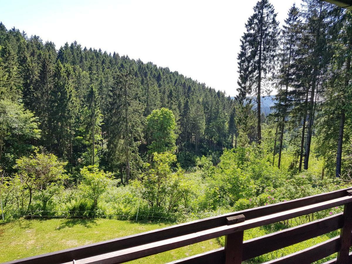 Fewo Waldblick Sankt Andreasberg Esterno foto