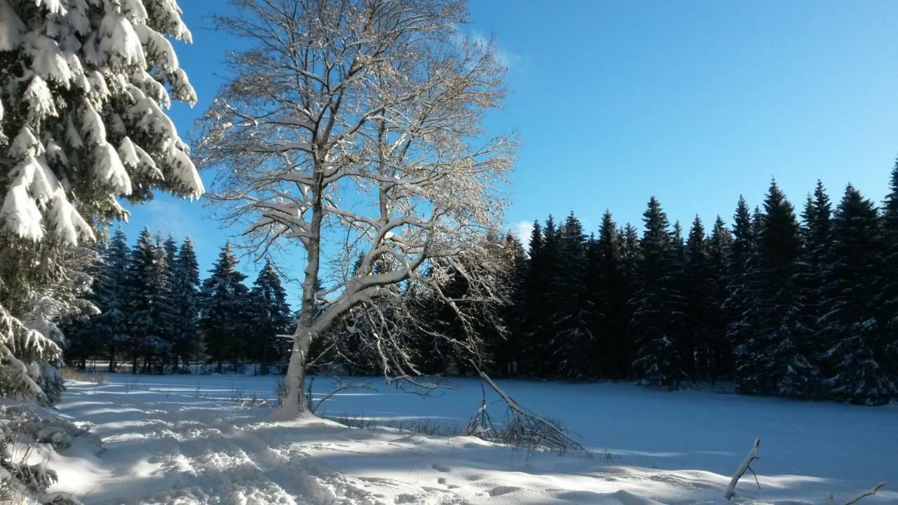 Fewo Waldblick Sankt Andreasberg Esterno foto